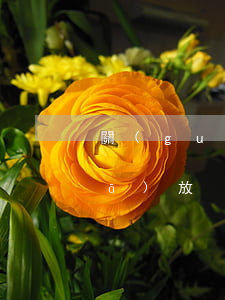 關(guān)于夏季高溫津貼如何發(fā)放？